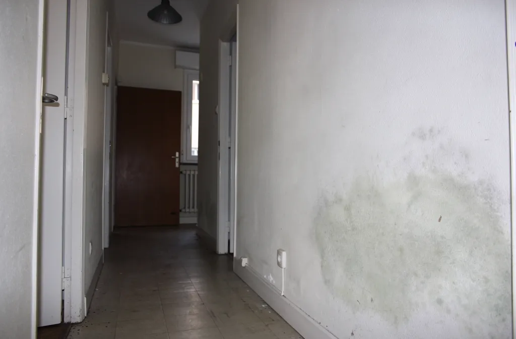 Illustration d'un mur intérieur présentant des traces d'humidité et de moisissures